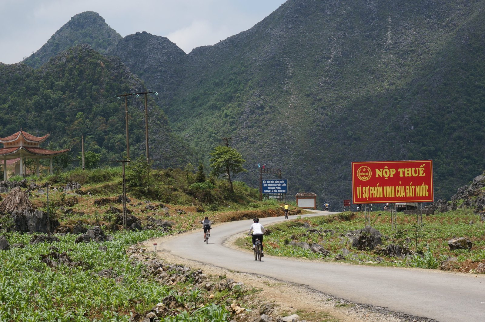 10-Day Ha Giang Loop & Hoang Su Phi Cycling Adventure